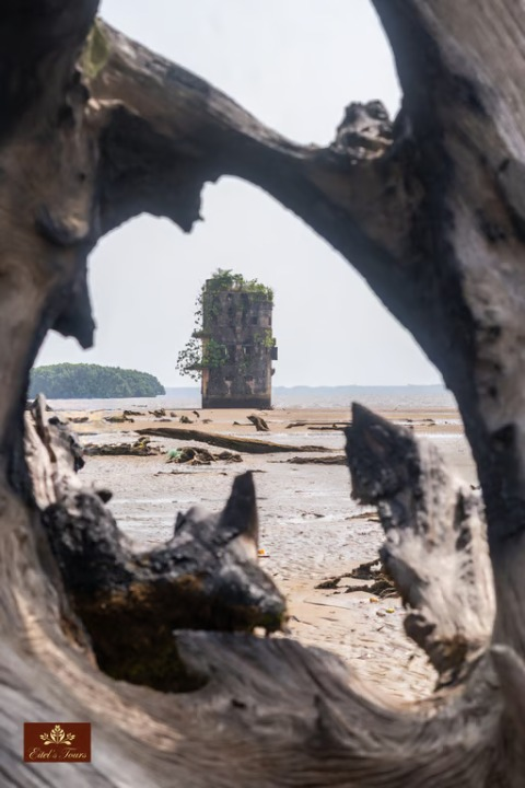 Visit to Manoka Island.
