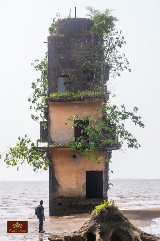 Visit to Manoka Island.